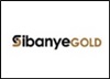 Sibanye’s platinum deal bad for jobs, maintains NUM