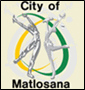 Hawks investigating after Matlosana municipal manager accused of hiding his criminal record