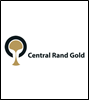 Union calls for Central Rand Gold, which is liquidation, to be rescued instead