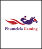 Durban July at risk with Phumelela Gaming and Leisure aiming to retrench 500 workers