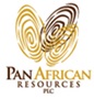 Illegal mining issue too big for mining companies to handle on their own