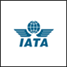 With SA airlines set to lose R40bn and 186,800 jobs at risk, Iata pleads for Covid-19 help from government