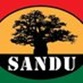 Military union Sandu calls for inquiry into allegations of brutality by soldiers