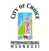 Struggling Msunduzi Municipality slammed for spending exorbitant amounts on bodyguards for councillors