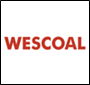 Employee of mining contractor killed in accident at Wescoal's Moabsvelden mine