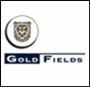 Chris Griffith appointed CEO designate of Gold Fields