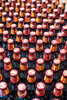 Alcohol industry estimated to have lost over R36bn in revenue and over 200,000 jobs across the three liquor bans