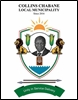 Collins Chabane municipal manager in court for alleged corruption in relation to VBS Bank saga