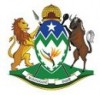 Thousands of 'uninvited' job applicants turn up at new hospital in KwaMashu, forcing assessment tests to be suspended