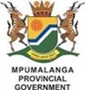 In wake of more than 10 recent arrests, Mpumalanga community safety MEC vows to crack down on corrupt traffic officers
