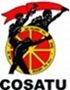 Cosatu ‘worried’ about slow implementation of economic recovery and reconstruction plan